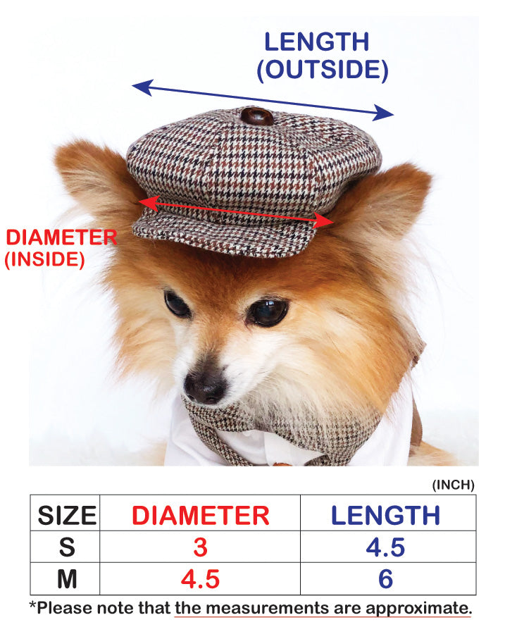 Newsboy Cap & Bowtie Set