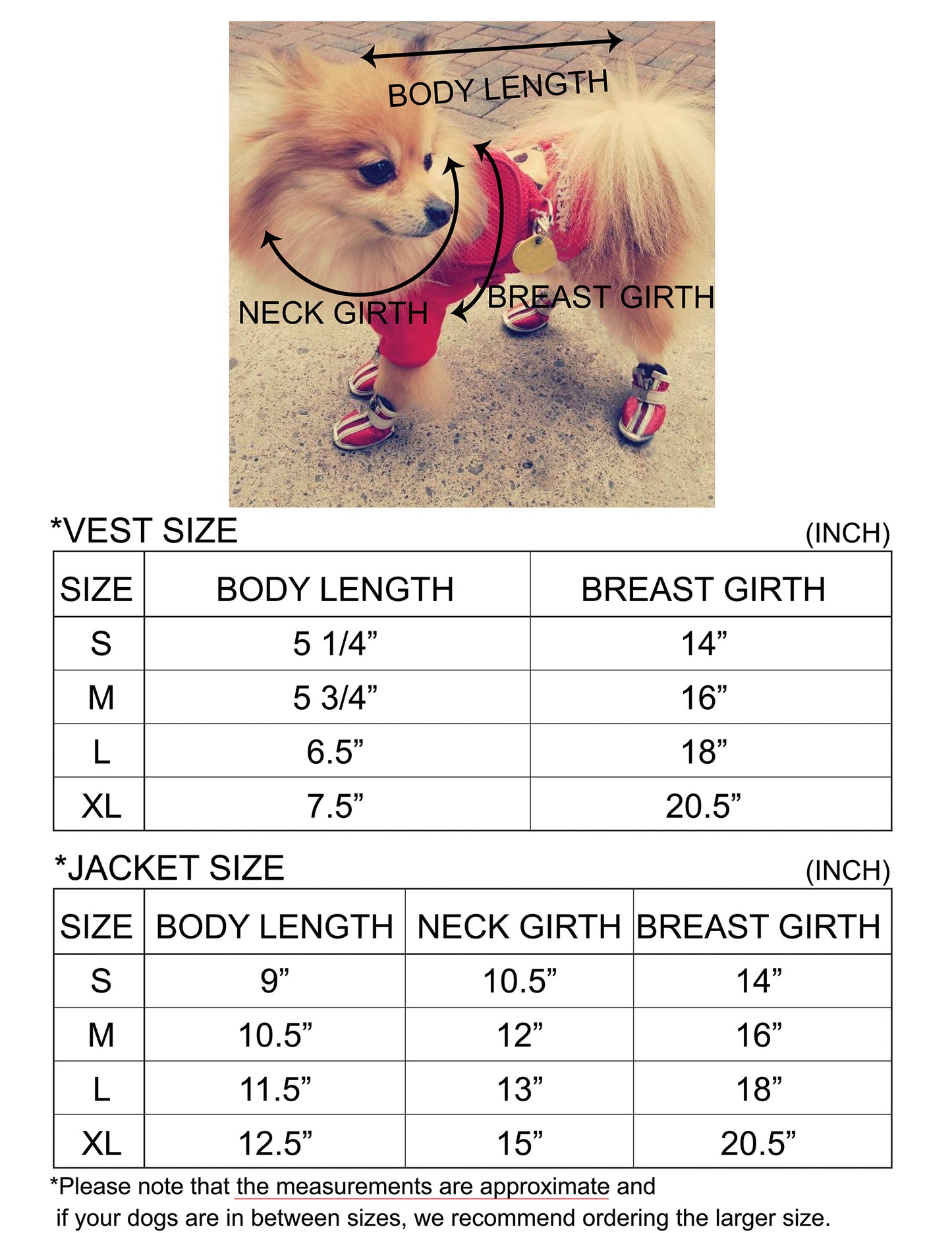 Fall Winter Vest & Suit Jacket