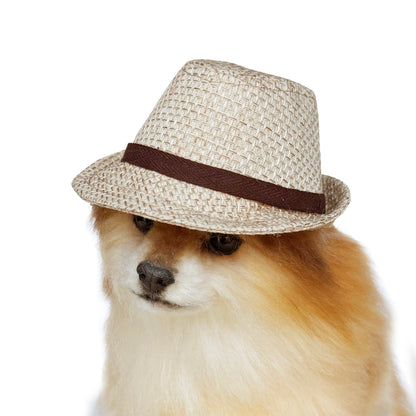 Straw style Fedora