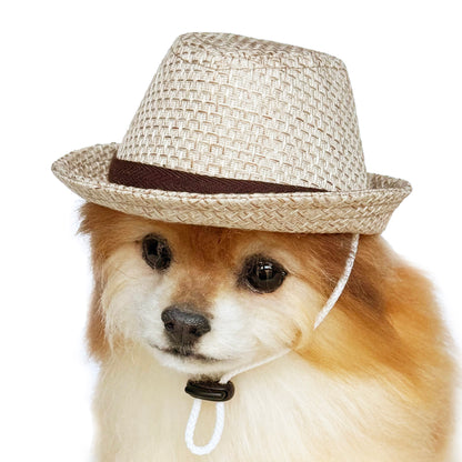 Straw style Fedora