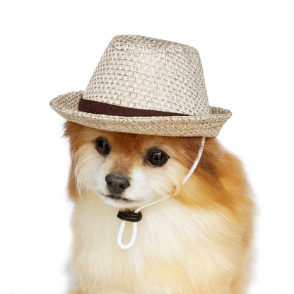 Straw style Fedora