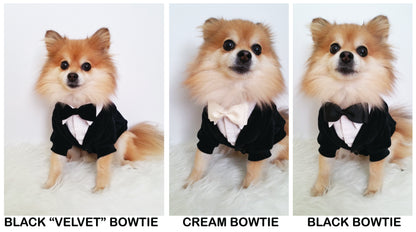Ring bearer Wedding tuxedo