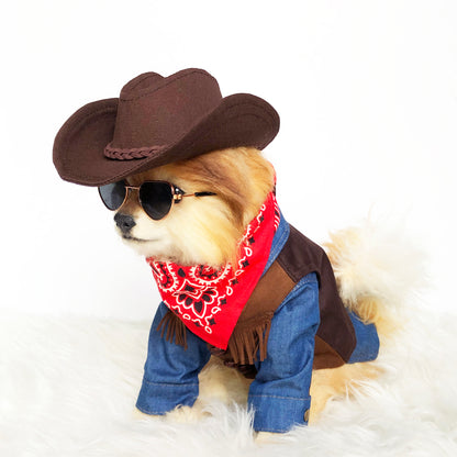 Cowboy Fringe Vest