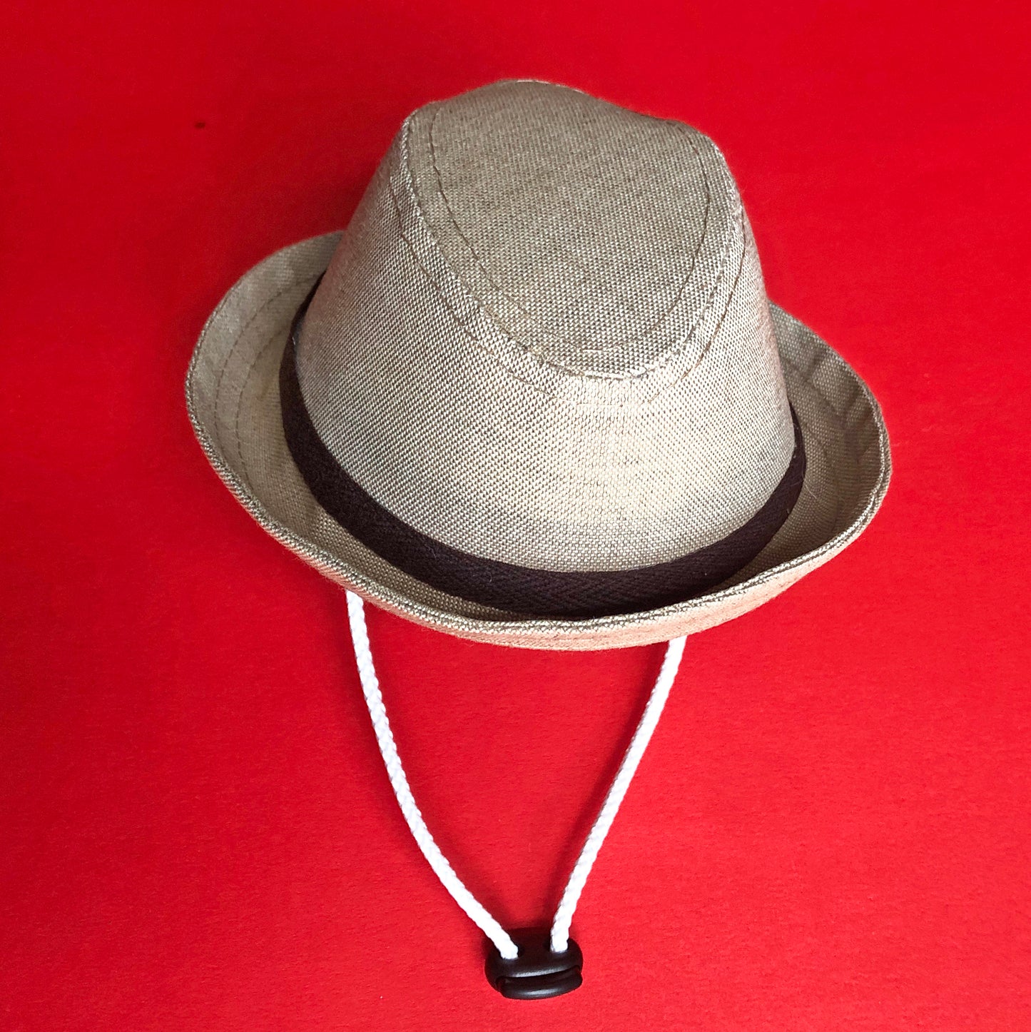 Tan Fedora
