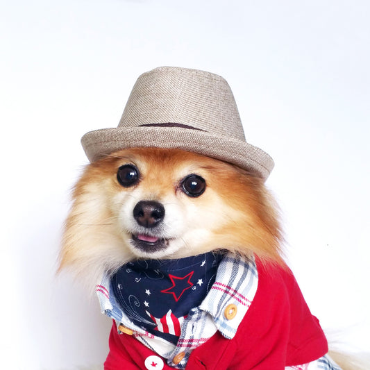 Tan Fedora