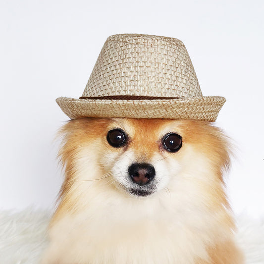 Straw style Fedora