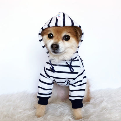 Navy striped Hoodie