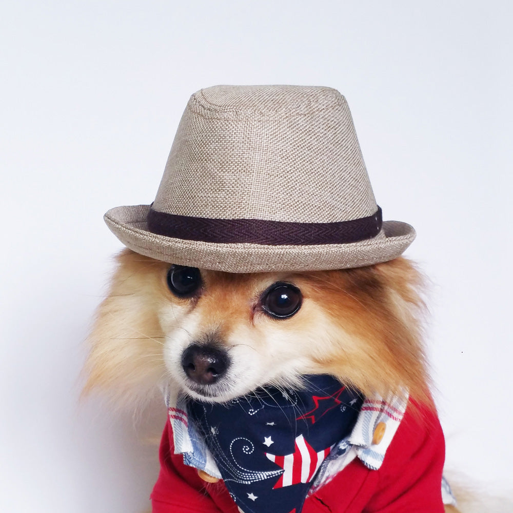 Tan Fedora
