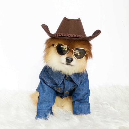 Denim Western Shirts