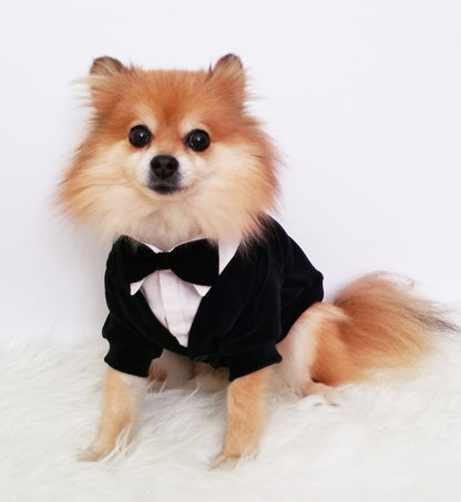 Ring bearer Wedding tuxedo