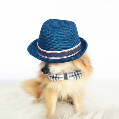 Blue Fedora