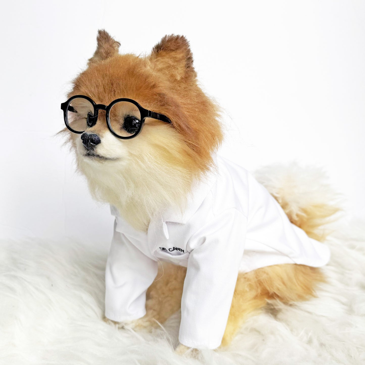 Personalized Doctor gown & matching mask prop Costume set