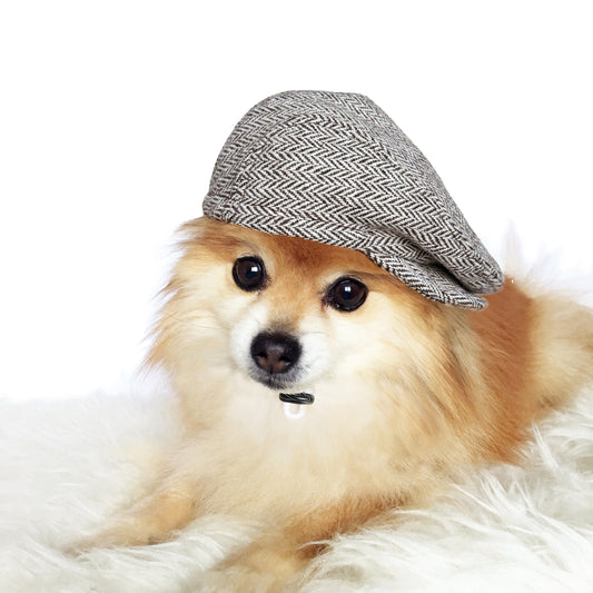 Brown & White Herringbone Ivy Flat caps
