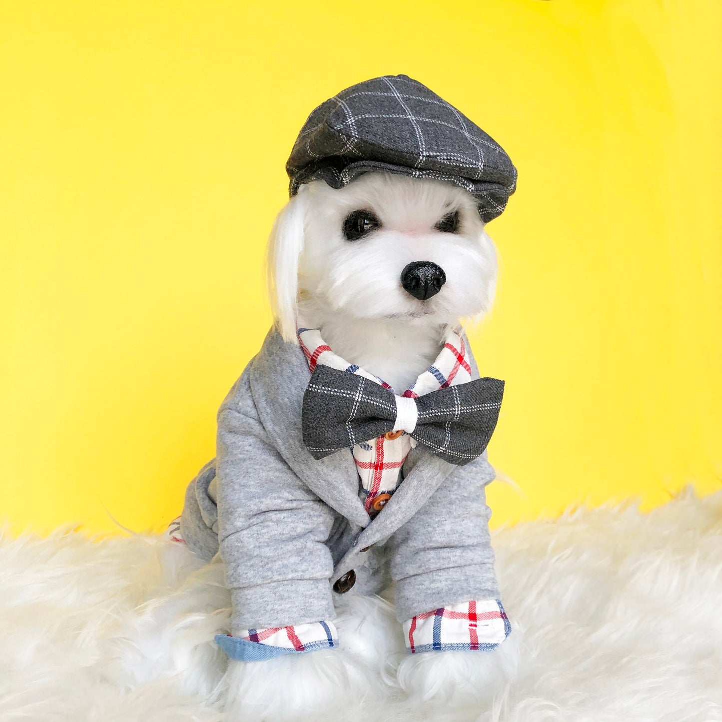 Ivy Cap & Bowtie Set