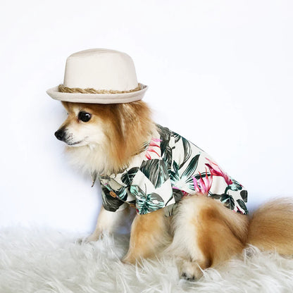 Hawaiian Shirts