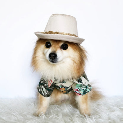 Hawaiian Shirts