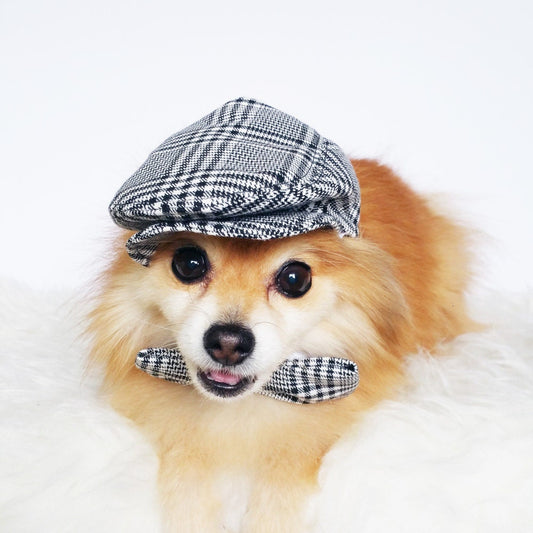 Ivy Cap & Bowtie Set