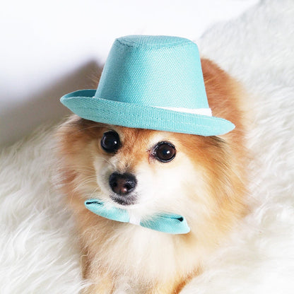 Mint Green Fedora