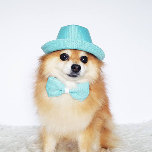 Mint Green Fedora