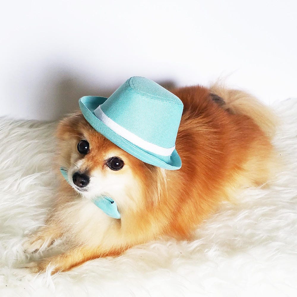Mint Green Fedora