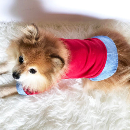 2 in 1 sweater with shirt