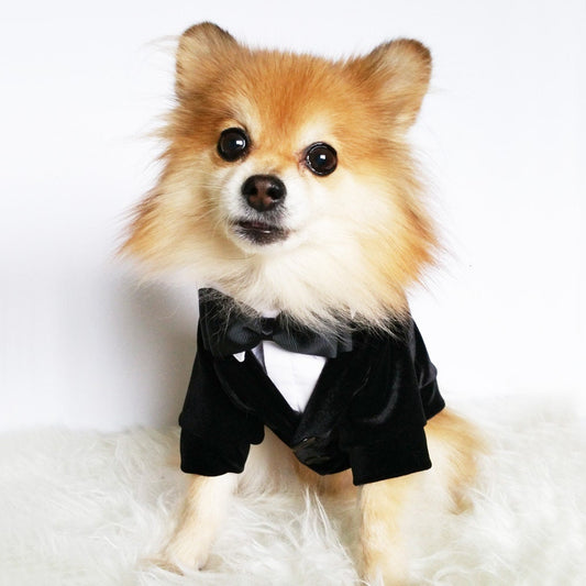 Ring bearer Wedding tuxedo