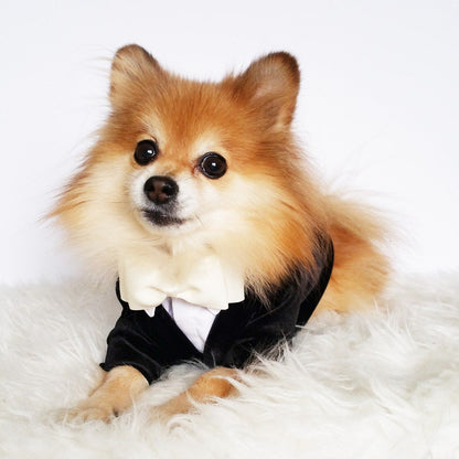 Ring bearer Wedding tuxedo