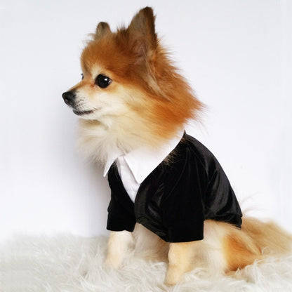 Ring bearer Wedding tuxedo