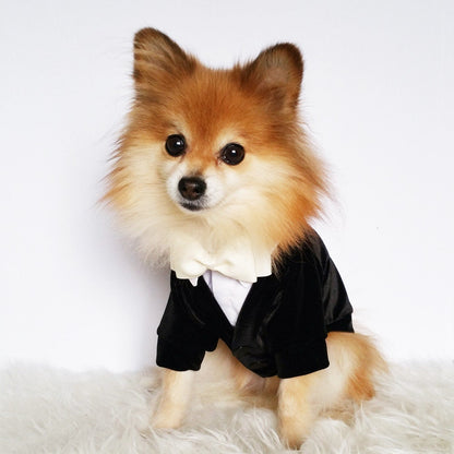 Ring bearer Wedding tuxedo