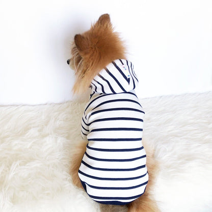 Navy striped Hoodie