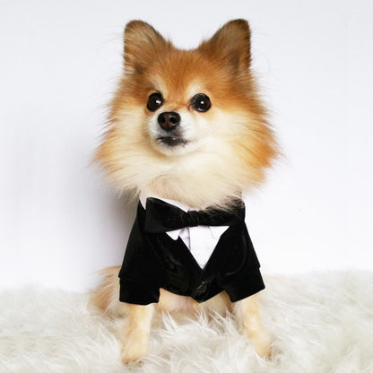 Ring bearer Wedding tuxedo