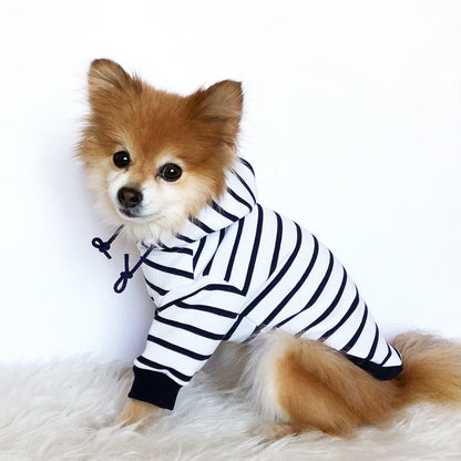 Navy striped Hoodie