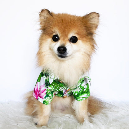 Hawaiian Shirts