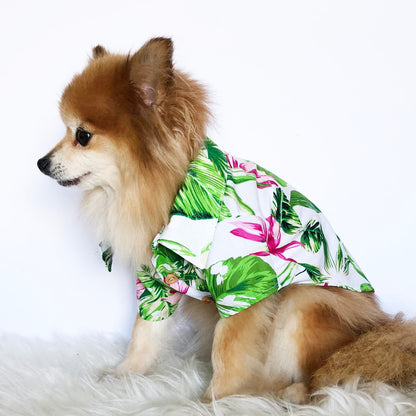 Hawaiian Shirts