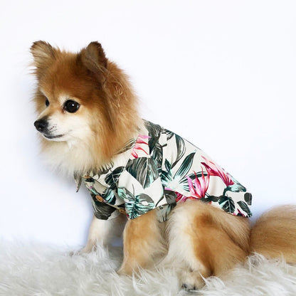 Hawaiian Shirts