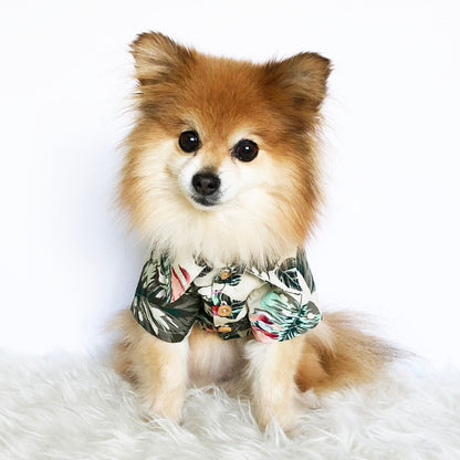 Hawaiian Shirts