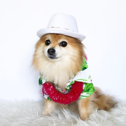 Hawaiian Shirts