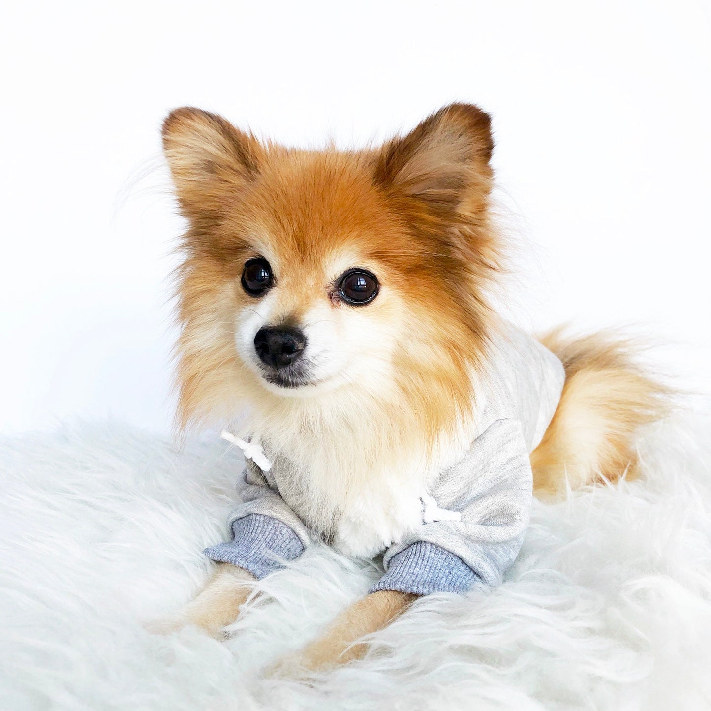 Faux Fur lined Hoodie Jackets