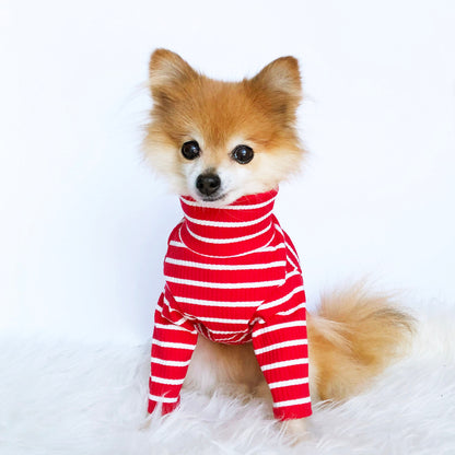 Turtleneck Sweaters
