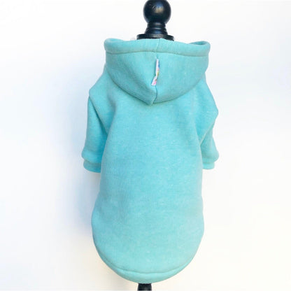 Mint Green Fleece hoodie