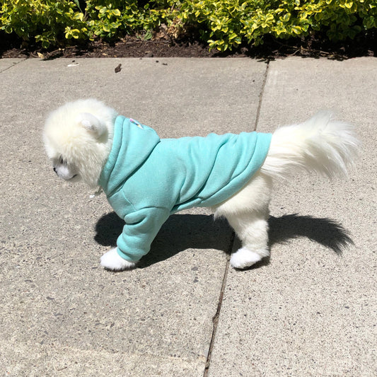 Mint Green Fleece hoodie