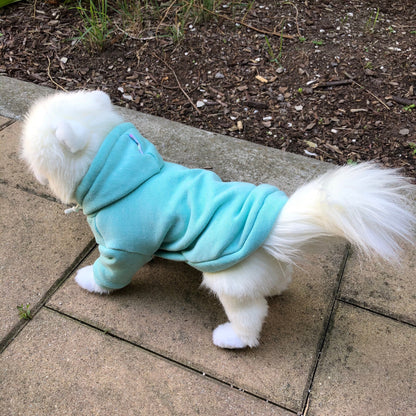 Mint Green Fleece hoodie