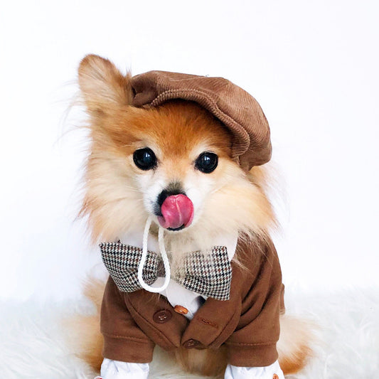 Newsboy Cap & Bowtie Set