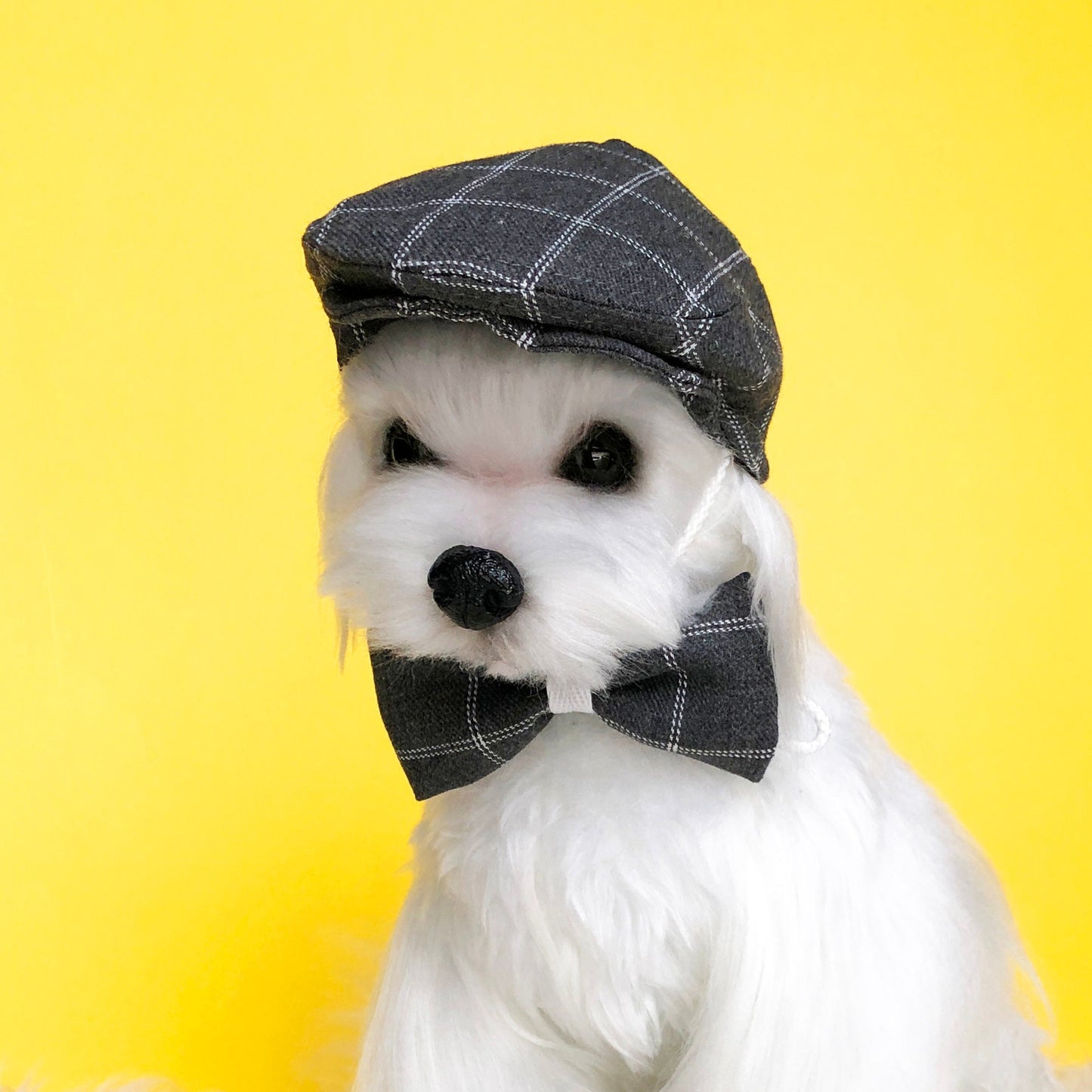 Ivy Cap & Bowtie Set