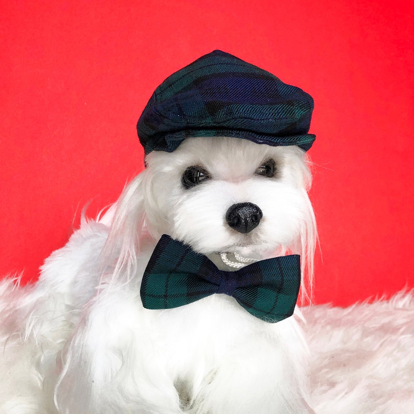 Ivy Cap & Bowtie Set