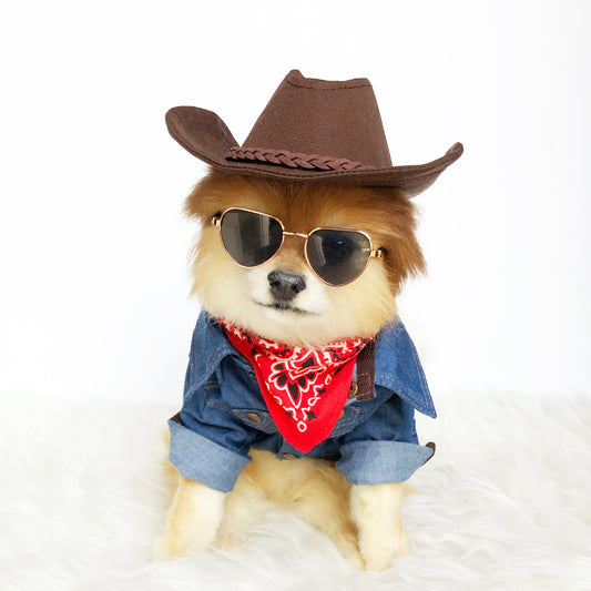 Denim Western Shirts