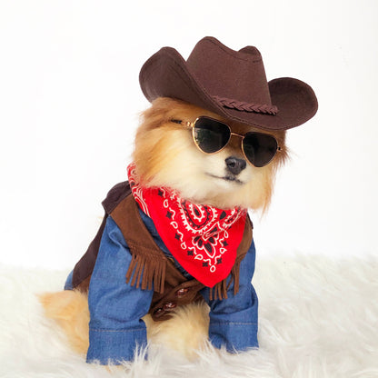 Denim Western Shirts