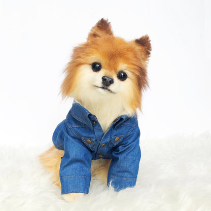 Denim Western Shirts