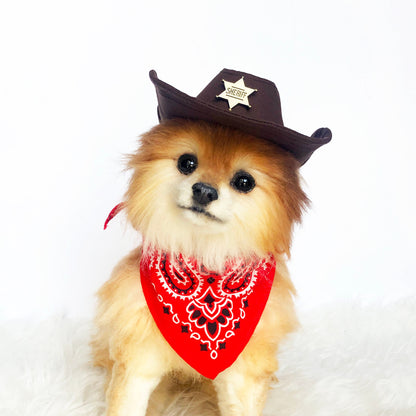Sheriff Badge