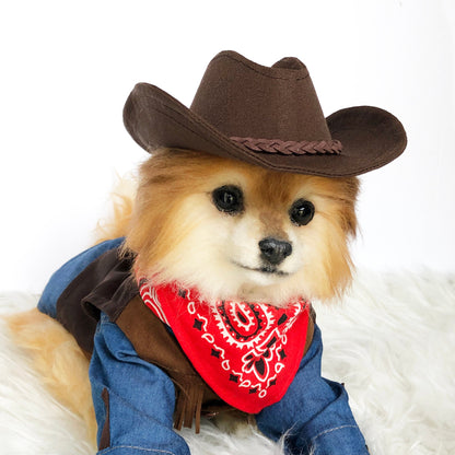 Western Cowboy Hat & Scarf